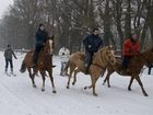 фото отеля Gastehaus am Schlossgut Schonwalde