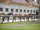 фото отеля Gastehaus am Schlossgut Schonwalde