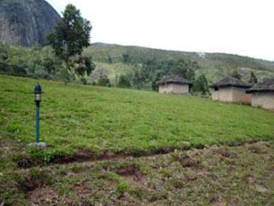 фото отеля Green Jungle Holiday Resort