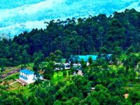 Green Jungle Holiday Resort