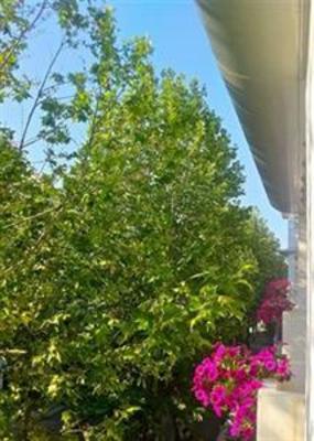 фото отеля Nuova Riccione Hotel