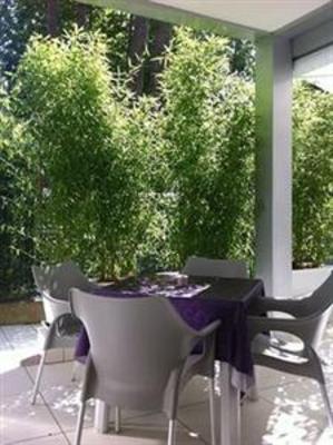 фото отеля Nuova Riccione Hotel