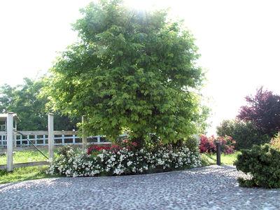 фото отеля Corte Verzellotto B and B
