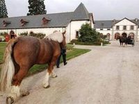 Breizh Yourte