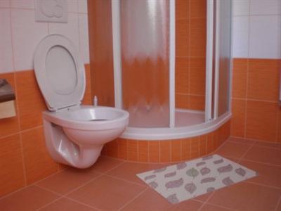 фото отеля Penzion Na Devitce