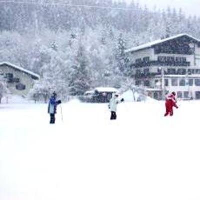 фото отеля Waldrast Pension