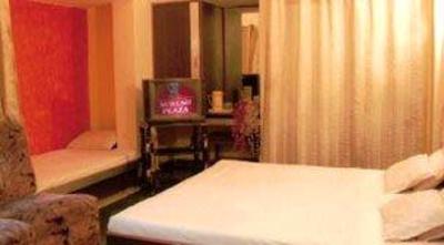 фото отеля Hotel Suresh Plaza Nashik