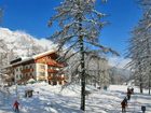 фото отеля Hotel Larchenhof