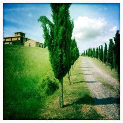 фото отеля Ragoncino