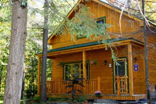 фото отеля Chalet Bijou De La Foret