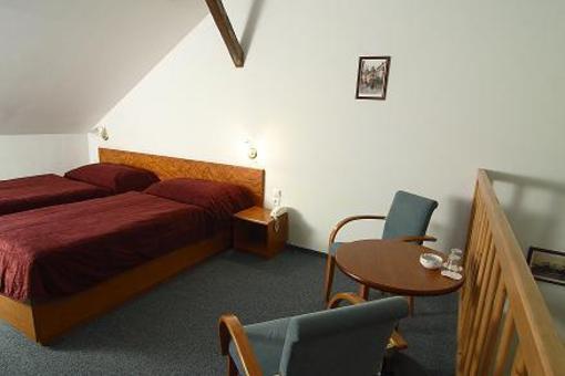 фото отеля Hotel Certousy