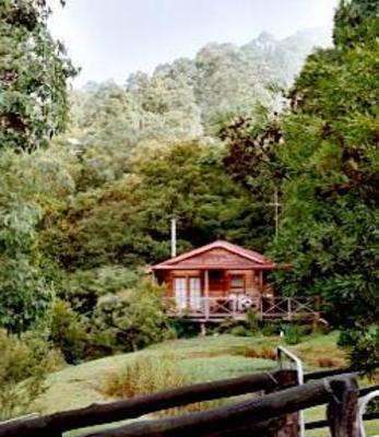 фото отеля Bluegums Cabins Dungog