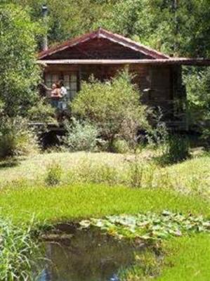 фото отеля Bluegums Cabins Dungog