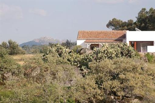 фото отеля Quinta Serra De Sao Mamede
