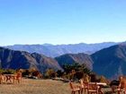 фото отеля Hotel Chail Crown