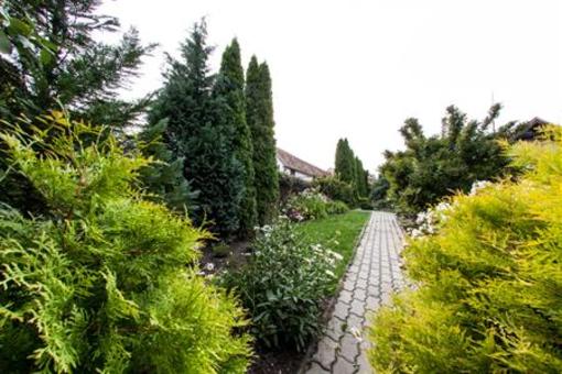 фото отеля Racianska Vináren u Teodora Guest House Bratislava