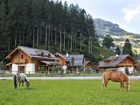 фото отеля Feriendorf Holzlebn