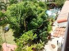 фото отеля Palm Paradise Guest House And Apartment Saint James (Barbados)