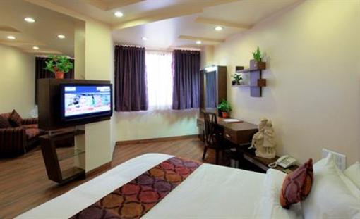 фото отеля Hotel Mayura Raipur