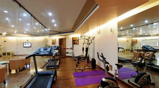 фото отеля Hotel Mayura Raipur