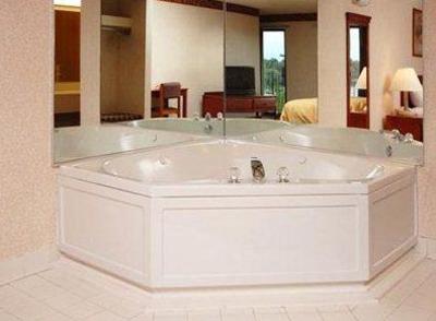 фото отеля Comfort Suites Auburn Hills