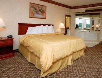 фото отеля Comfort Suites Auburn Hills