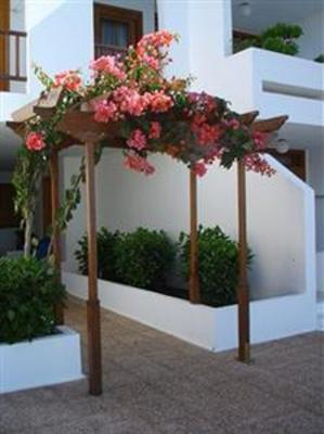 фото отеля Camels Spring Club Aparthotel Lanzarote