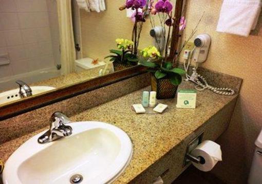 фото отеля Comfort Inn Ventura