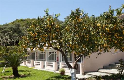 фото отеля Odysseus Hotel