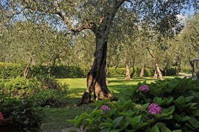 фото отеля Club Hotel Olivi Malcesine
