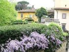 фото отеля Giglio Bianco B&B