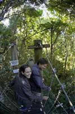 фото отеля O'Reilly's Rainforest Retreat