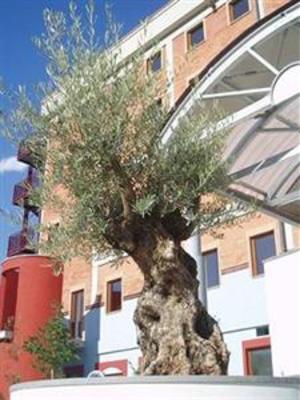 фото отеля Perugia Grand Hotel