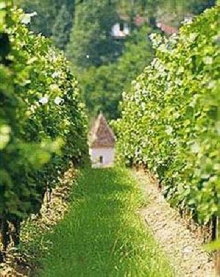 фото отеля Chateau De Mercues