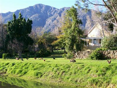 фото отеля Agincourt Country Guest House