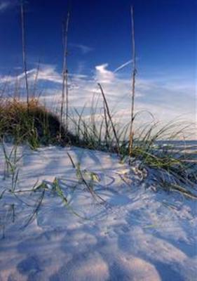 фото отеля Hampton Inn & Suites by Hilton - Panama CIty Beach/Pier Park Area