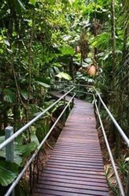 фото отеля Daintree Wilderness Lodge