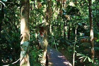 фото отеля Daintree Wilderness Lodge