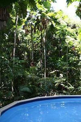 фото отеля Daintree Wilderness Lodge