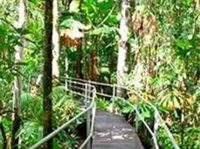 Daintree Wilderness Lodge