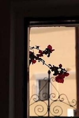 фото отеля Kykladonisia Hostel Fira