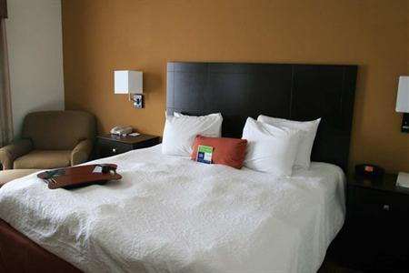 фото отеля Hampton Inn and Suites Toledo-North