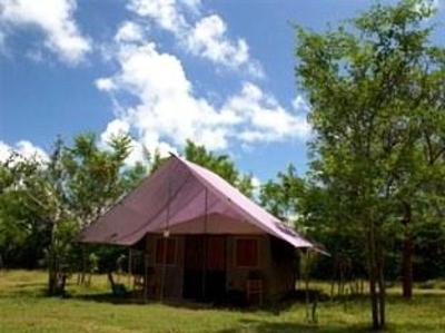 фото отеля Big Game Camp – Udawalawe