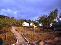 Darbar Hotel & Resort Organic