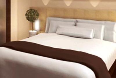 фото отеля Hotel Sahar International