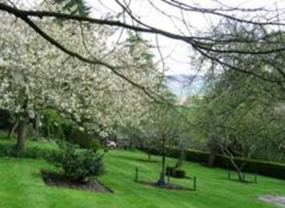 фото отеля Fir Grove Country House