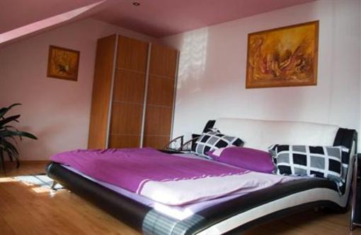 фото отеля Hotel Pod Vezi Vysoke Myto