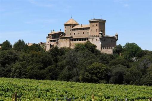 фото отеля Castell de Riudabella