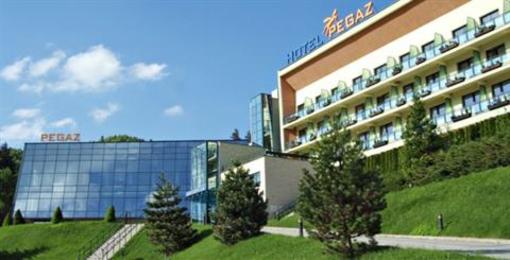 фото отеля Pegaz Hotel Krynica-Zdroj