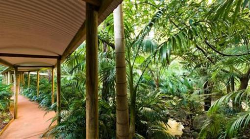 фото отеля Pethers Rainforest Retreat